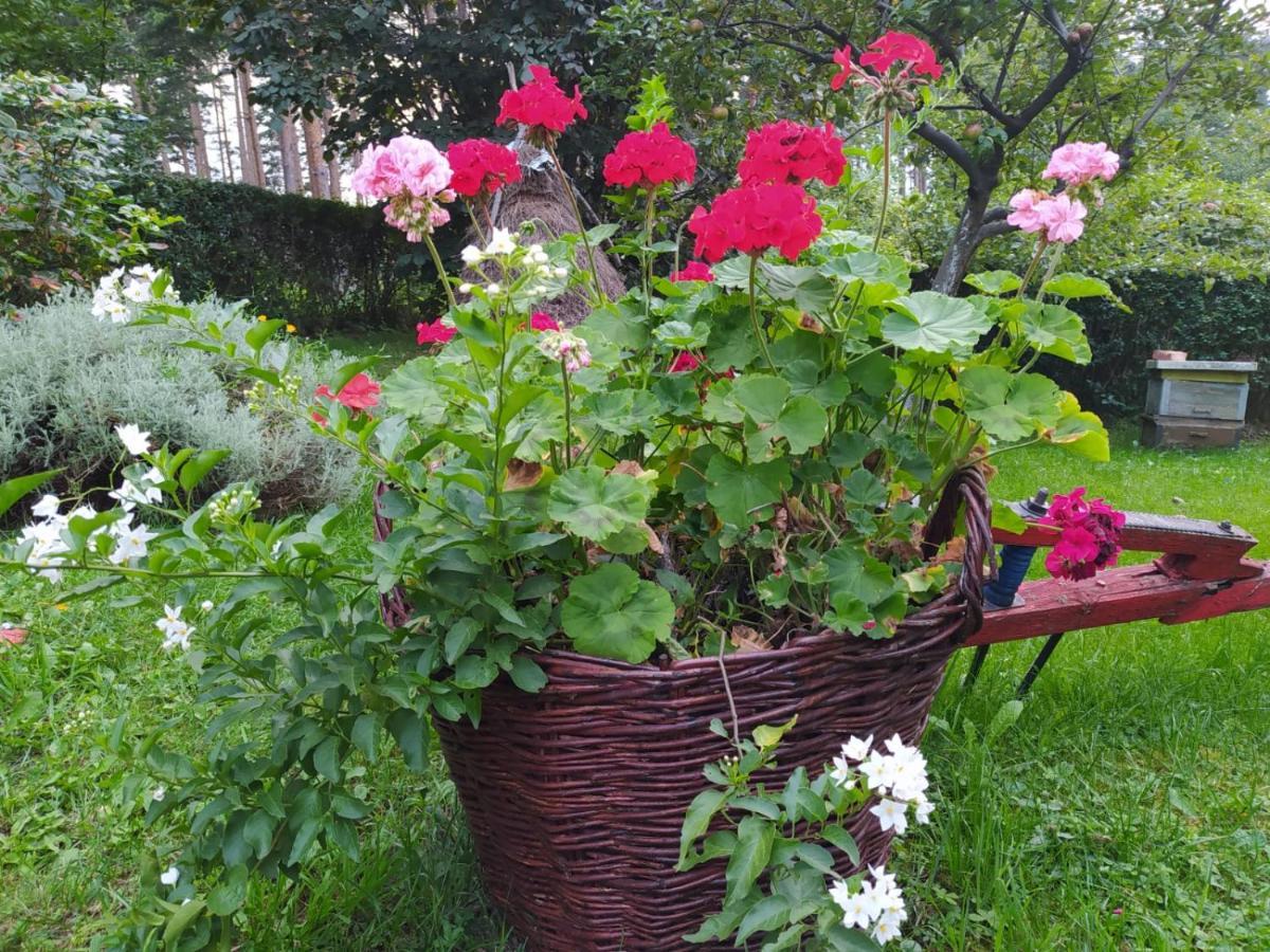 Apartmani Milić Sirogojno Zewnętrze zdjęcie